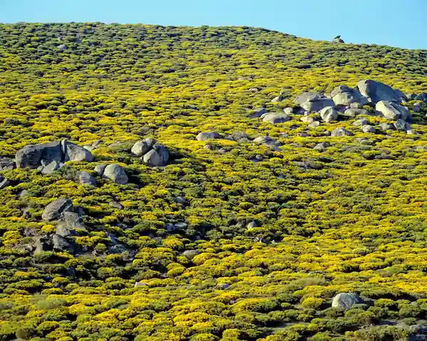 Precise detection with satellite imagery