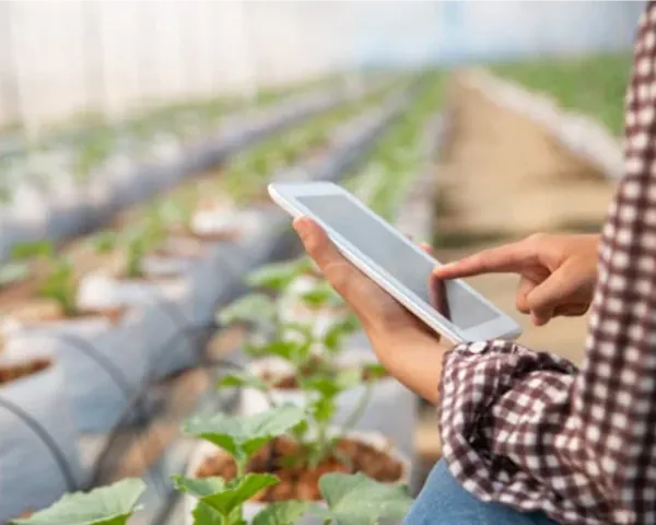 Efficient management tools